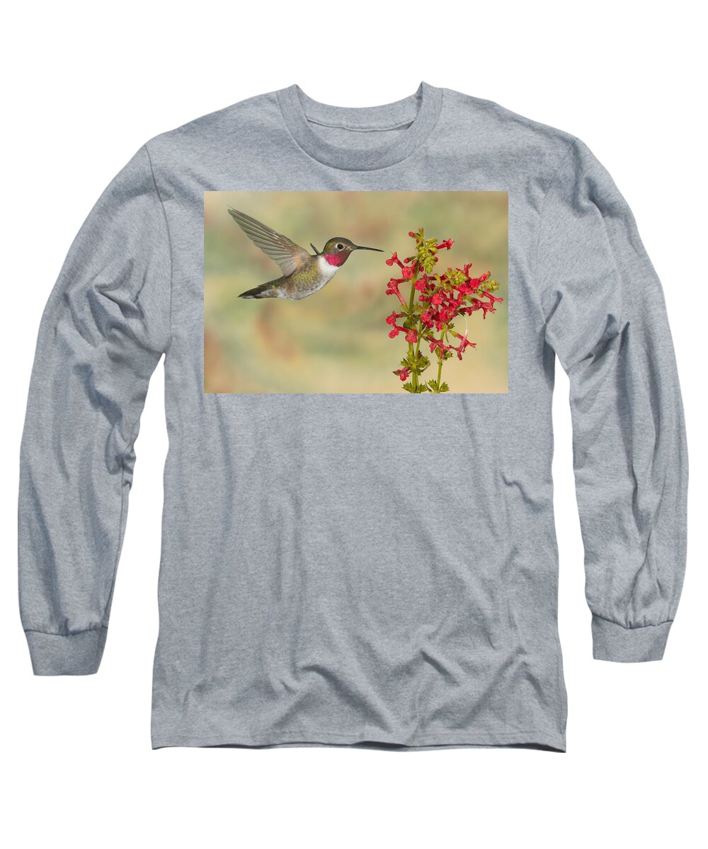Action Long Sleeve T-Shirt featuring the photograph Broad-tailed Hummingbird 5 by Jack Milchanowski