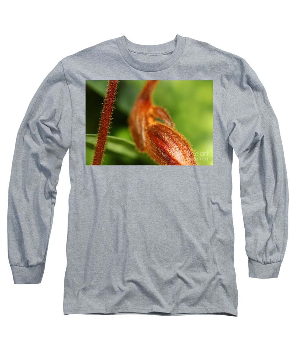 Botanical Long Sleeve T-Shirt featuring the photograph Brown Flower Bud by Amanda Mohler