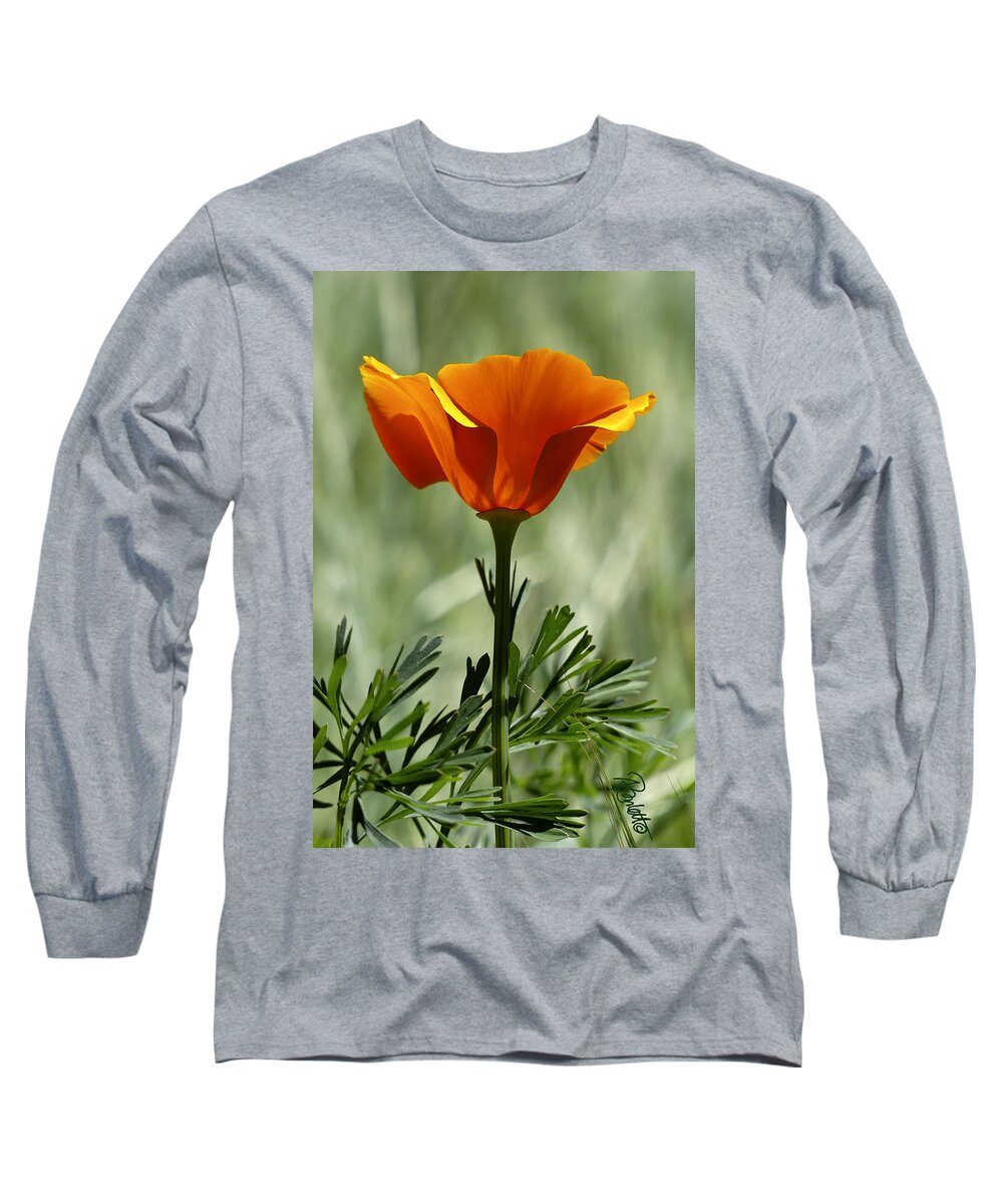 Flower Long Sleeve T-Shirt featuring the photograph California Poppy by Ann Ranlett