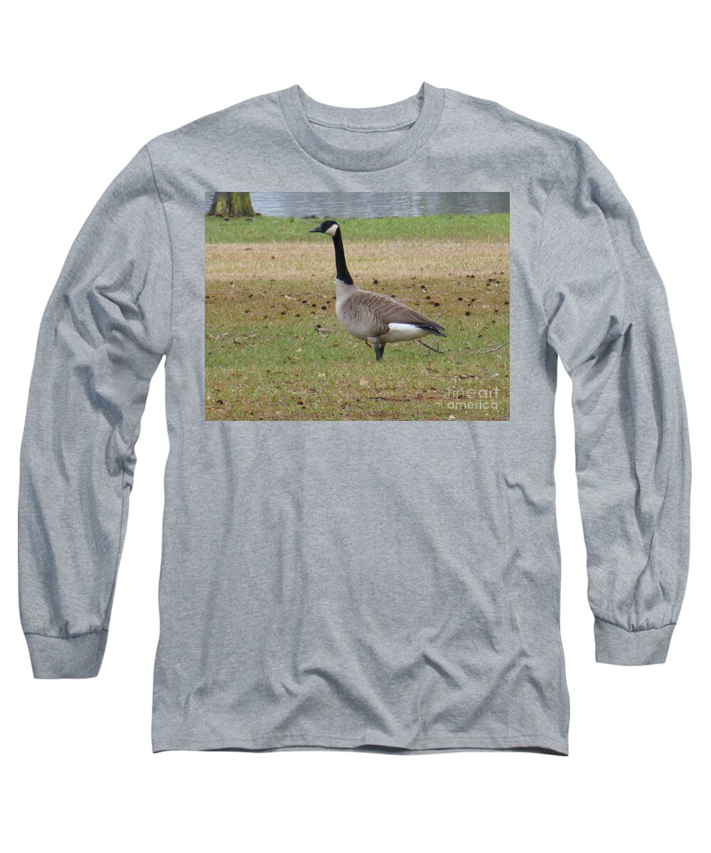 Tree Long Sleeve T-Shirt featuring the photograph Canadian Goose Strut by Joseph Baril