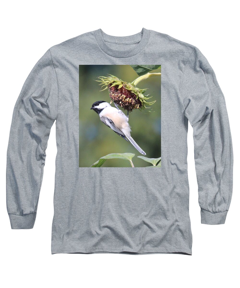 Chickadee Long Sleeve T-Shirt featuring the photograph Chickadee on Sunflower by Lucinda VanVleck