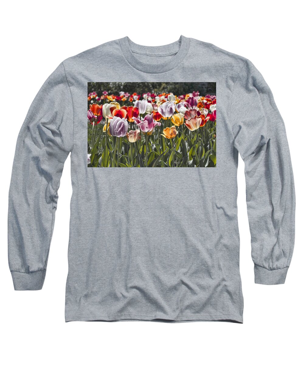 Tulip Long Sleeve T-Shirt featuring the photograph Colorful Tulips in the Sun by Sharon Popek