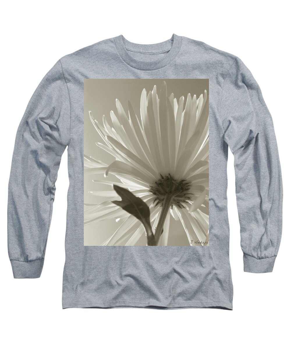 Flowers Long Sleeve T-Shirt featuring the photograph Daisy Sepia Abstract by Joseph Hedaya