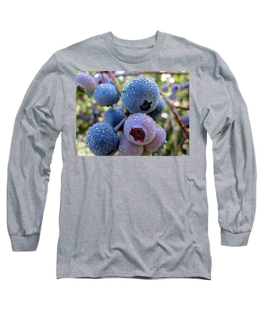 Blueberries Long Sleeve T-Shirt featuring the photograph Dewy Blueberries by MTBobbins Photography