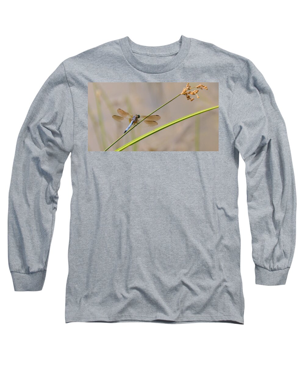 Dragonfly Long Sleeve T-Shirt featuring the photograph Dragonfly at rest by Stacy Abbott