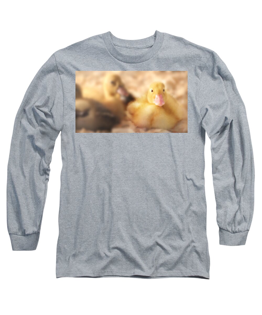 Duck Long Sleeve T-Shirt featuring the photograph Duckling by Shelley Neff