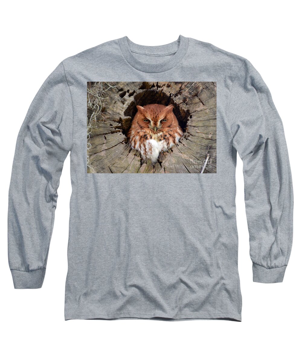 Owl Long Sleeve T-Shirt featuring the photograph Eastern Screech Owl by Kathy Baccari