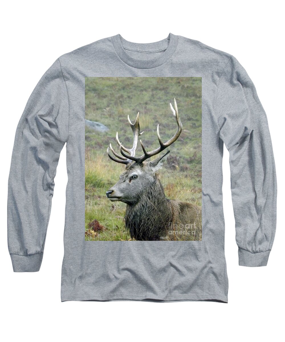 Deer Long Sleeve T-Shirt featuring the photograph Stag Party The series Father To Be. by Linsey Williams