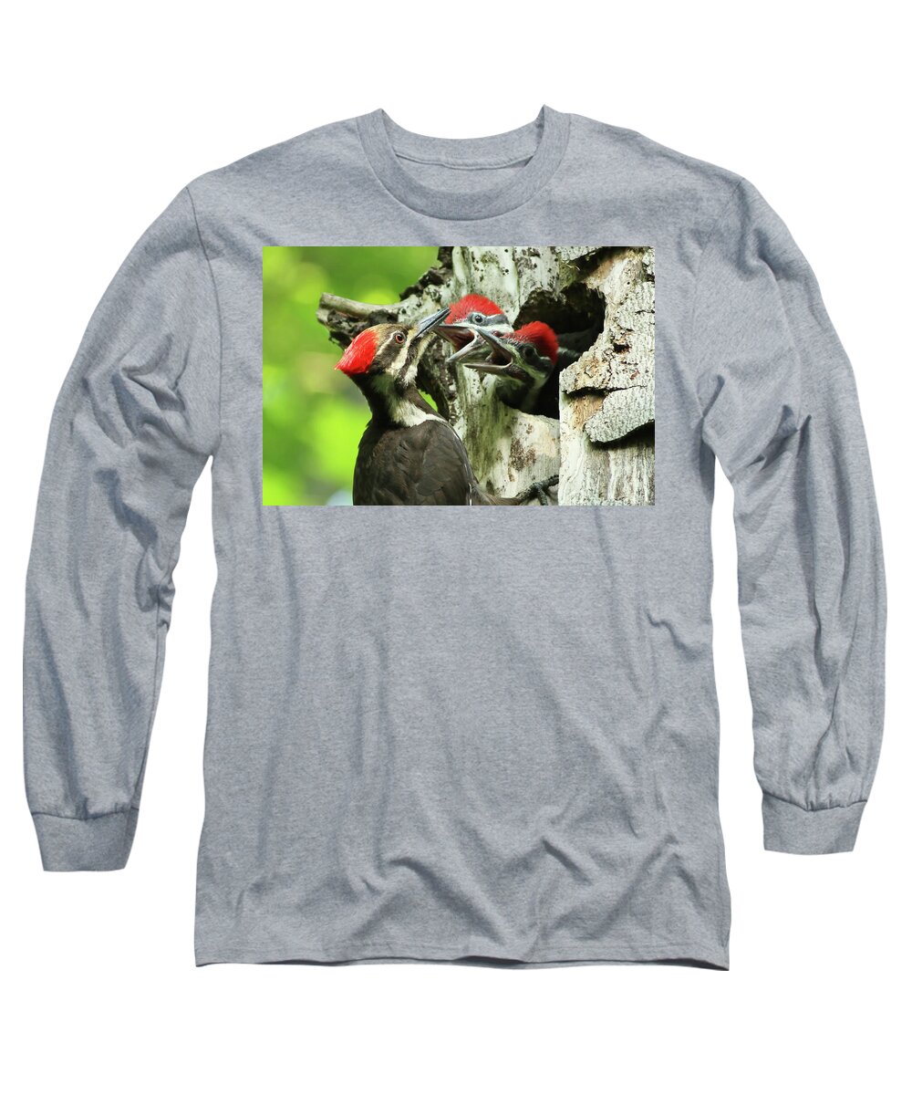 Pileated Long Sleeve T-Shirt featuring the photograph Female Pileated Woodpecker at nest by Mircea Costina Photography