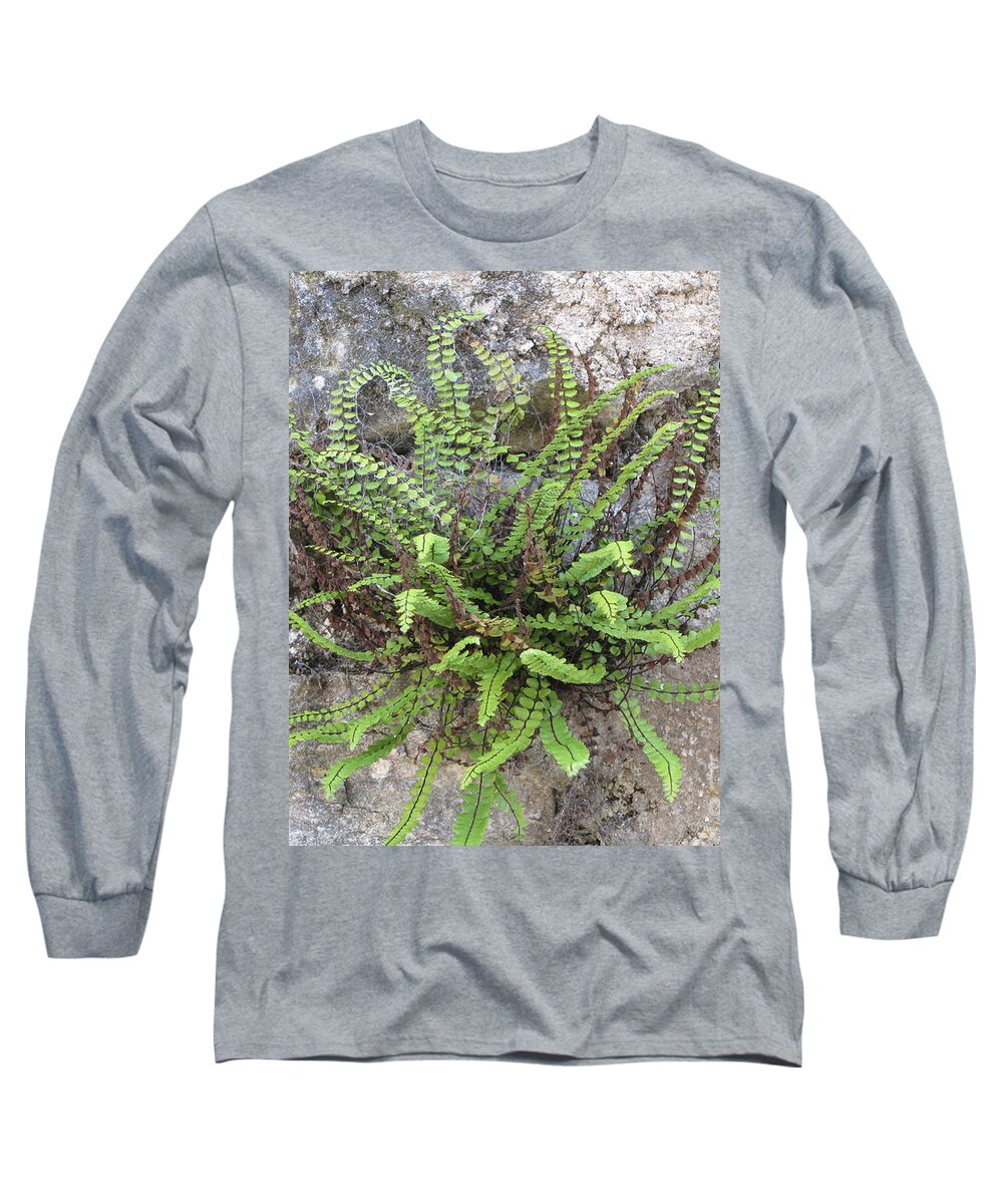Stone+wall Long Sleeve T-Shirt featuring the photograph Fern Tendrils by HEVi FineArt