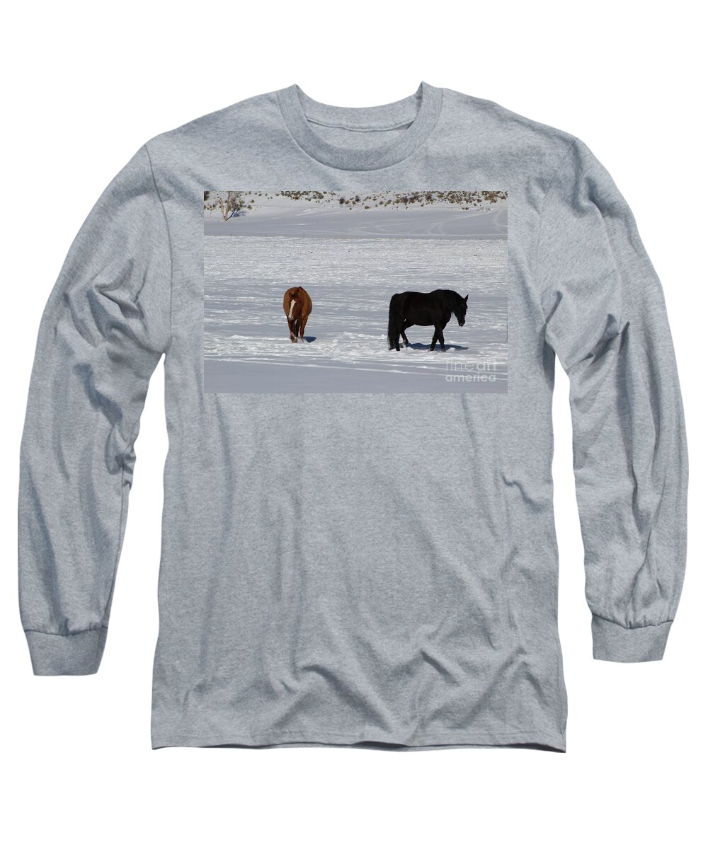 Horse Long Sleeve T-Shirt featuring the photograph Free Spirits by Fiona Kennard