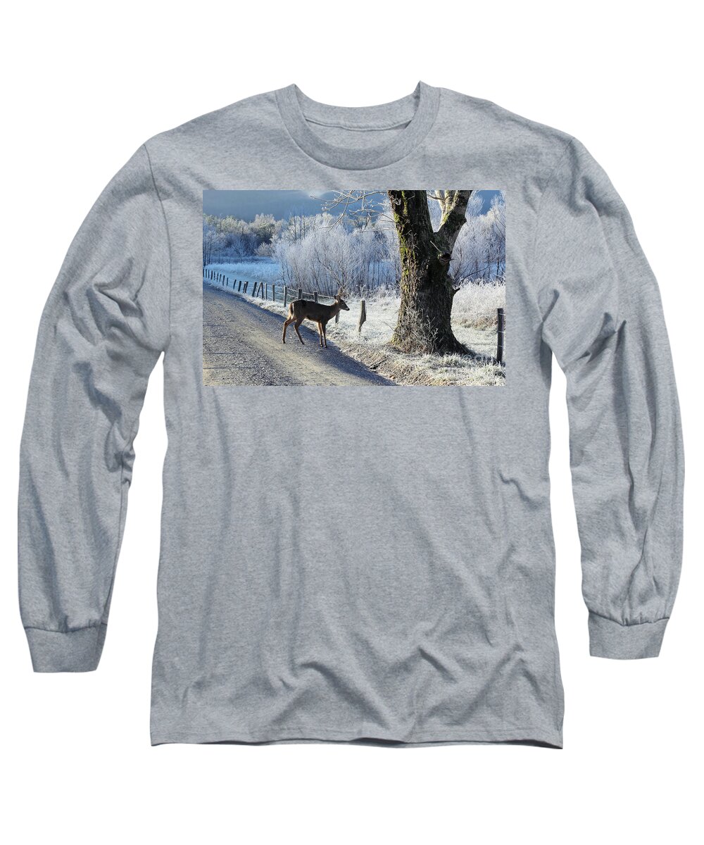 Deer Long Sleeve T-Shirt featuring the photograph Frosty Cades Cove II by Douglas Stucky