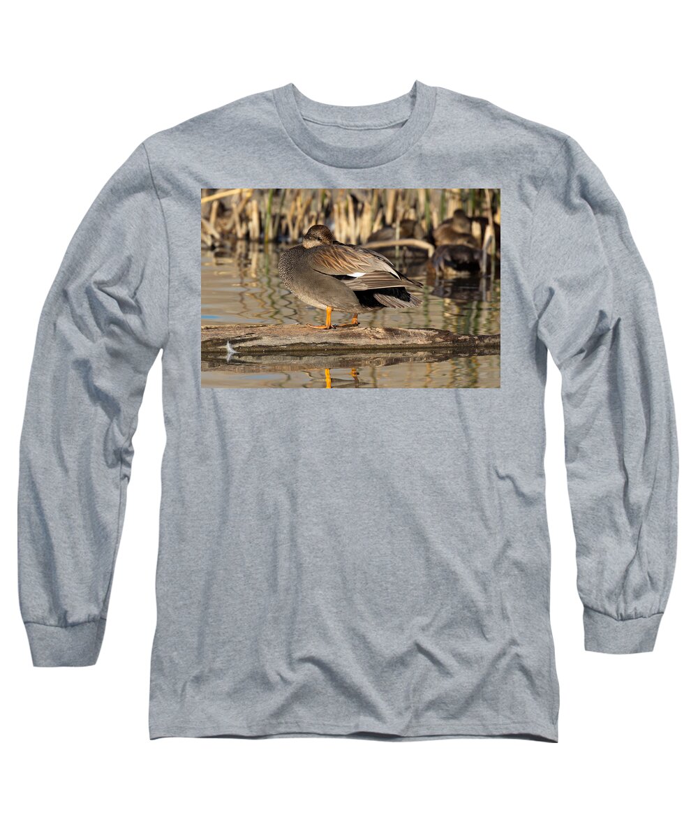 Gadwall Long Sleeve T-Shirt featuring the photograph Gadwall Napping by Kathleen Bishop