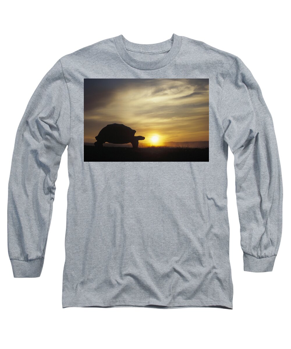 Feb0514 Long Sleeve T-Shirt featuring the photograph Galapagos Giant Tortoise At Sunrise by Tui De Roy
