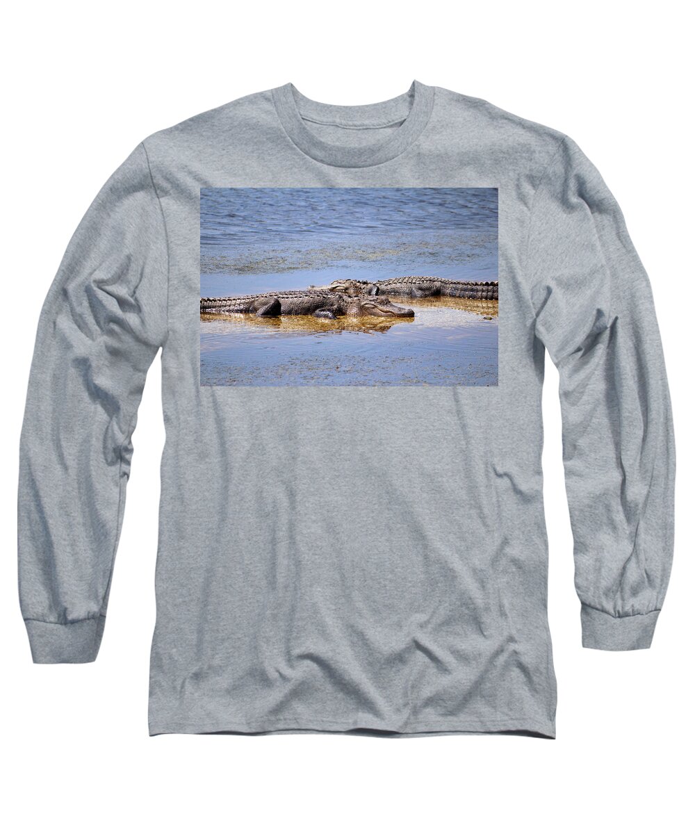 American Alligator Long Sleeve T-Shirt featuring the photograph Gators Napping by Cynthia Guinn