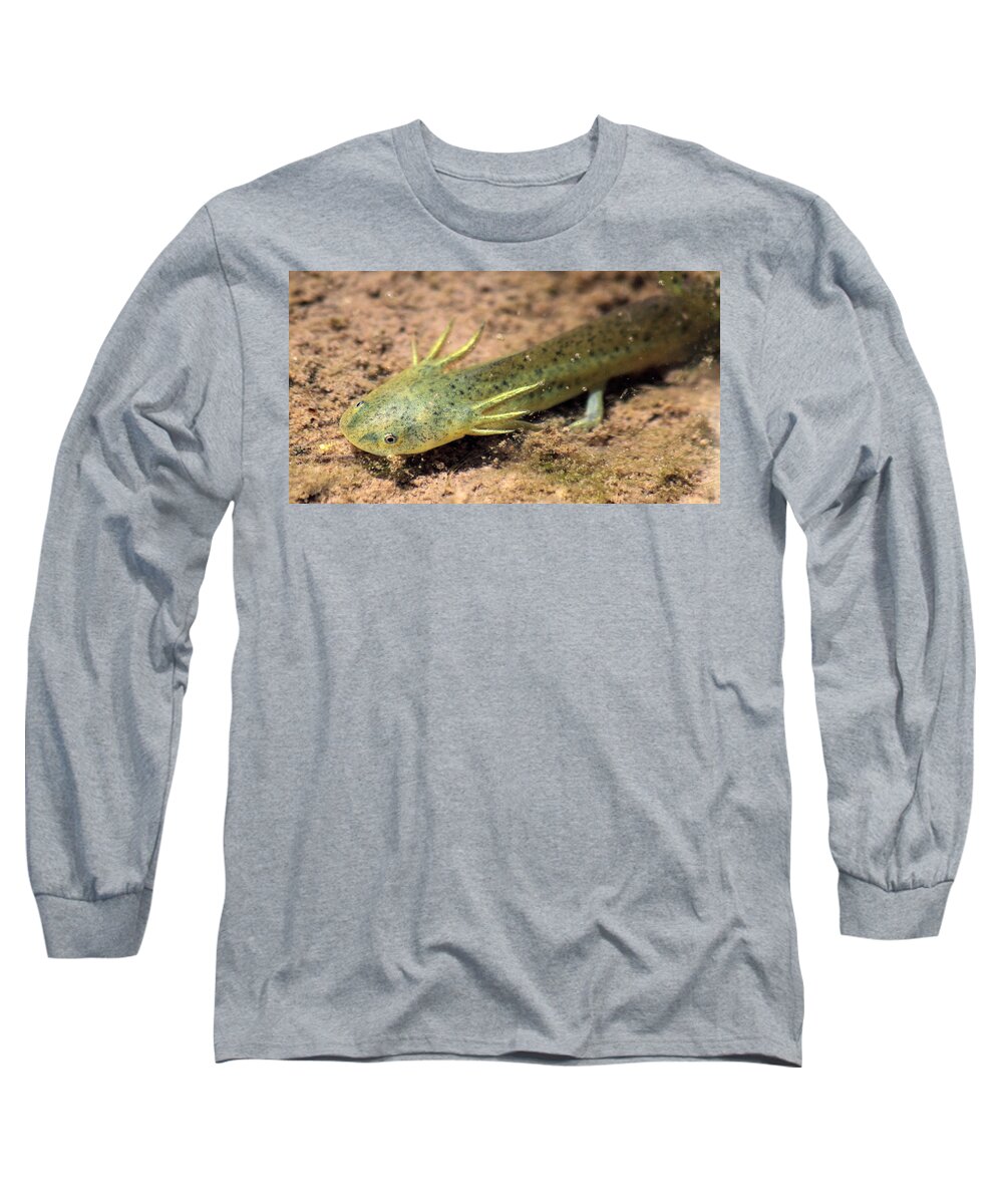 Mud Puppy Long Sleeve T-Shirt featuring the photograph Gills by Shane Bechler