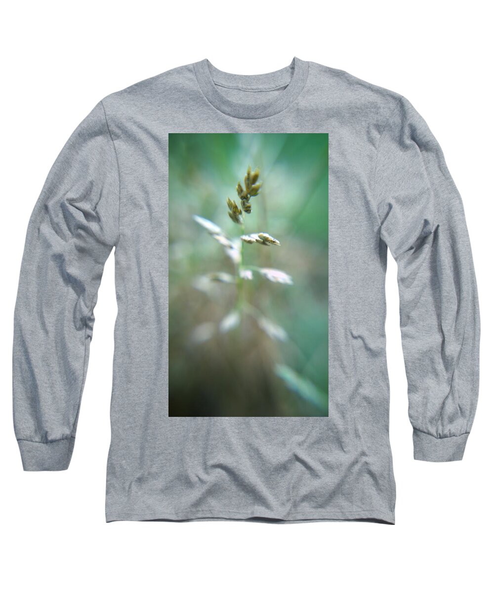 Kelly Hazel Long Sleeve T-Shirt featuring the photograph Grass Seeds by Kelly Hazel