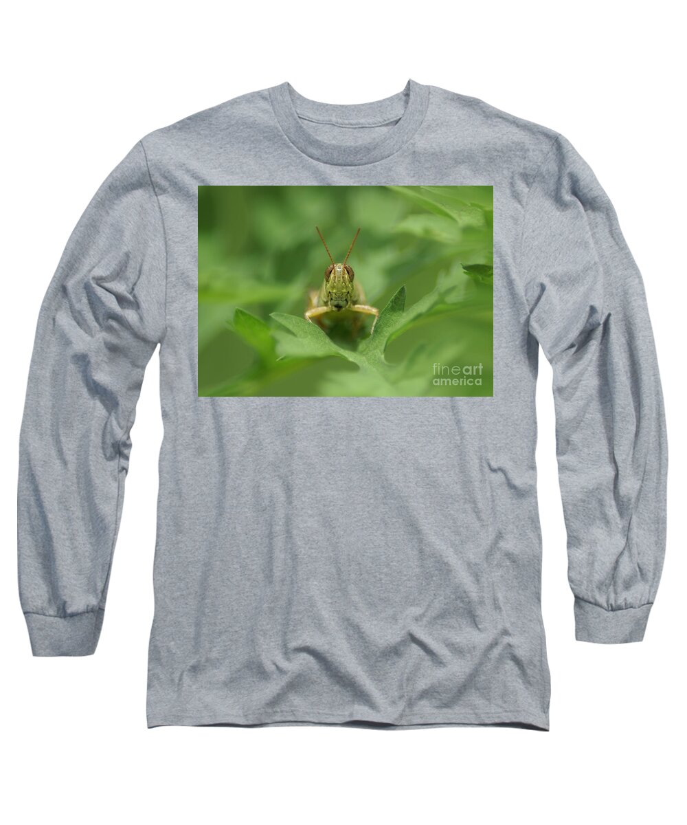 Grasshopper Long Sleeve T-Shirt featuring the photograph Grasshopper Portrait by Olga Hamilton