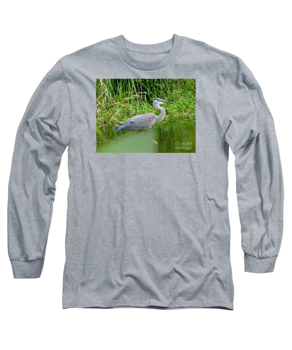 Blue Heron Long Sleeve T-Shirt featuring the photograph Great Blue Heron by Susan Garren