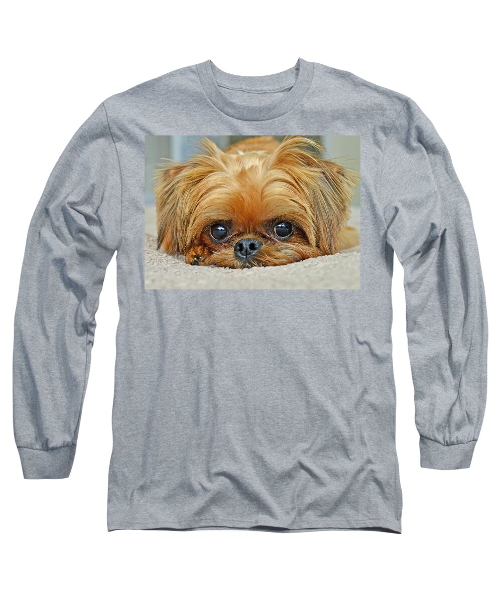 Animals Long Sleeve T-Shirt featuring the photograph Griff by Lisa Phillips