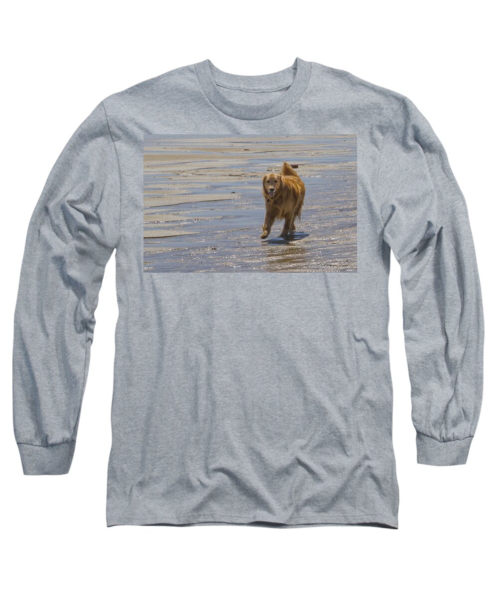 Golden Retriever Long Sleeve T-Shirt featuring the photograph Happy Dog at Beach by Natalie Rotman Cote