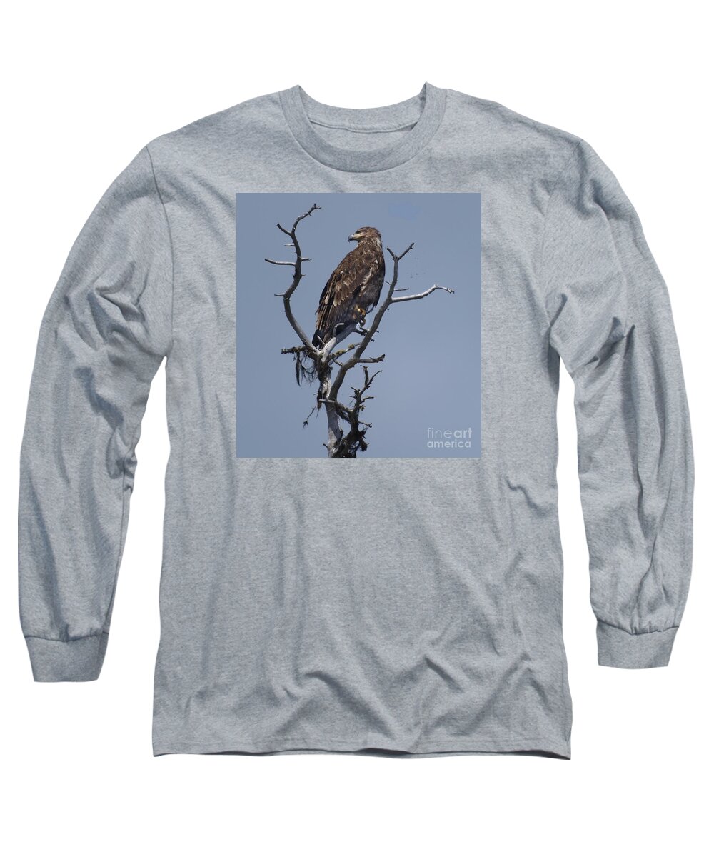 Hawk Long Sleeve T-Shirt featuring the photograph Hawk Eye by Vivian Martin