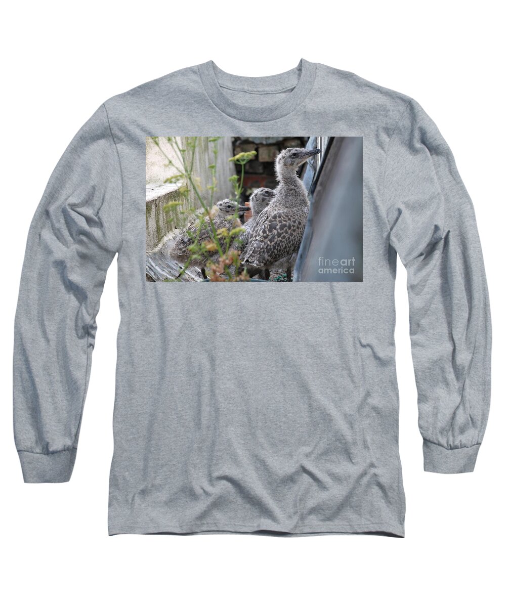 Herring Long Sleeve T-Shirt featuring the photograph Herring Gull chicks by David Fowler