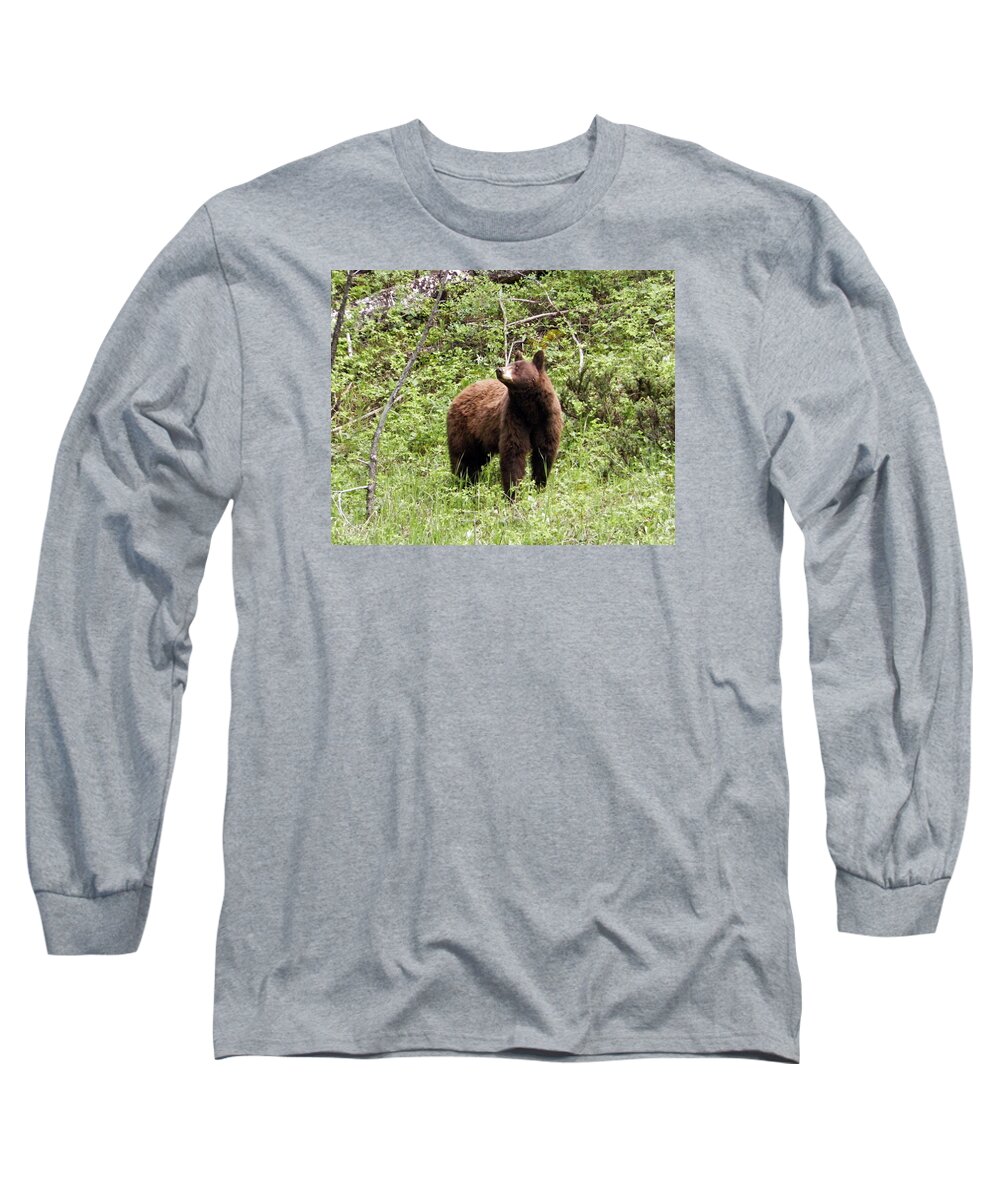 Bear Long Sleeve T-Shirt featuring the photograph High Alert by Pamela Peters