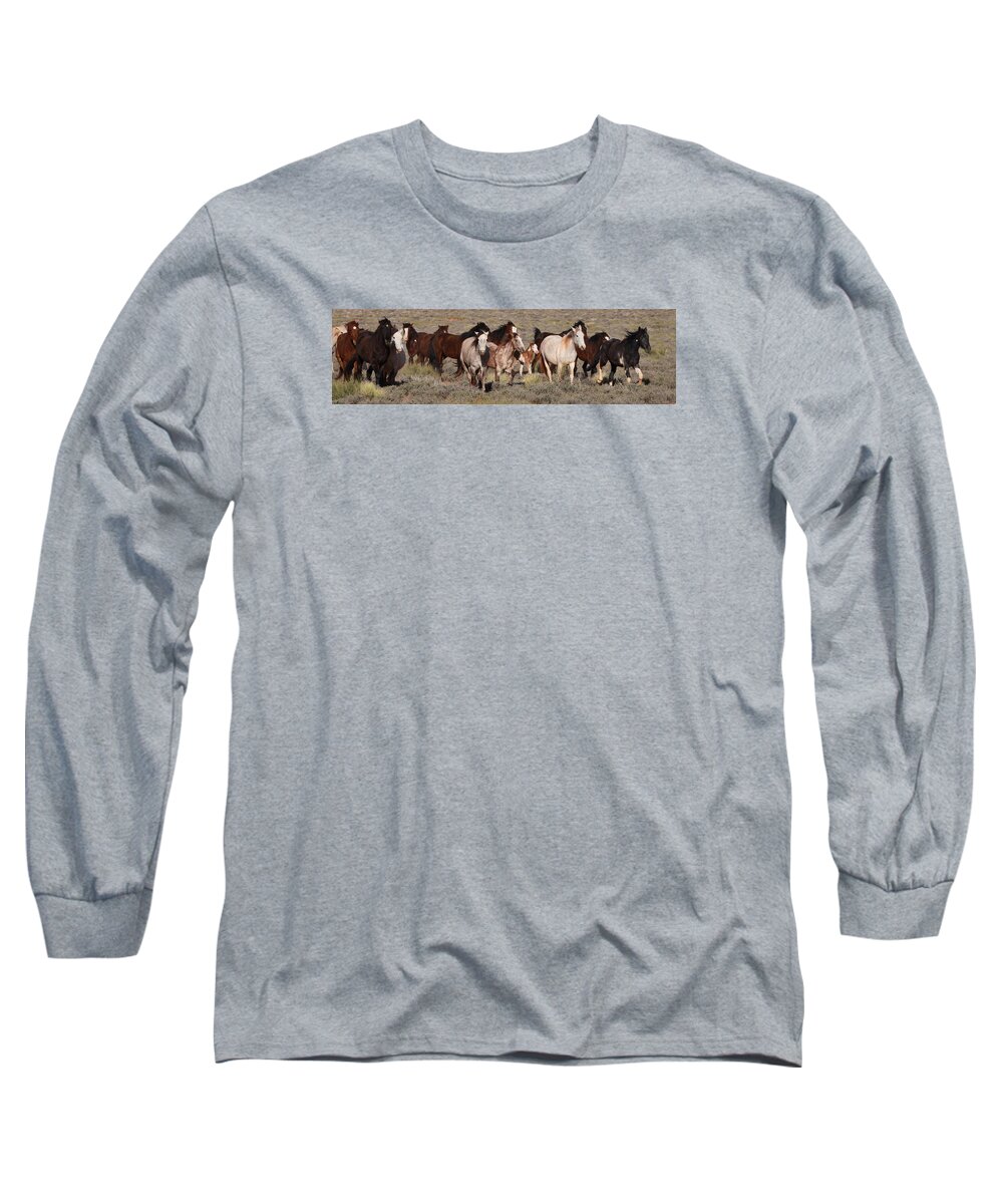 Mustangs Monument 2012 Long Sleeve T-Shirt featuring the photograph High Desert Horses by Diane Bohna