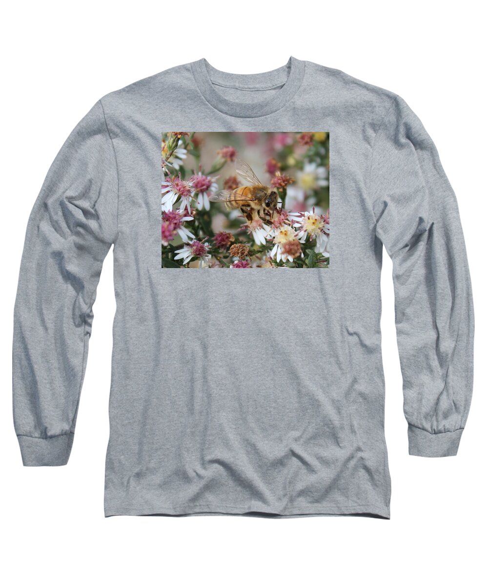 Honeybee Long Sleeve T-Shirt featuring the photograph Honeybee Sipping Nectar on Wild Aster by Lucinda VanVleck