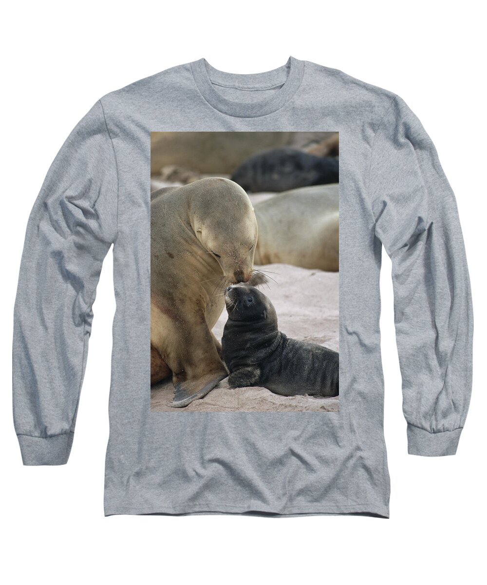 Feb0514 Long Sleeve T-Shirt featuring the photograph Hookers Sea Lion Mother Nuzzling Pup by Konrad Wothe