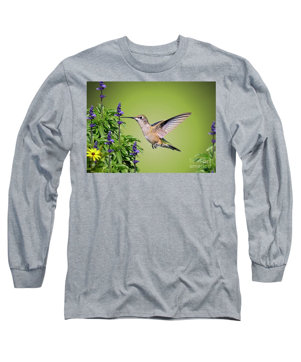 Hummingbird Long Sleeve T-Shirt featuring the photograph Hummingbird On Purple Flowers by Kathy Baccari