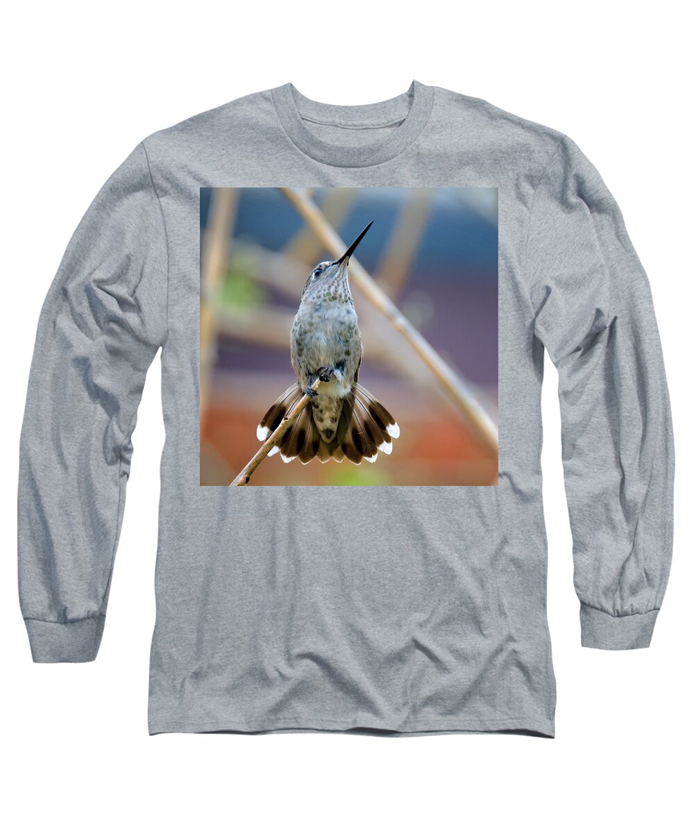 Hummingbird Long Sleeve T-Shirt featuring the photograph Hummingbird Tail Display by Evelyn Harrison