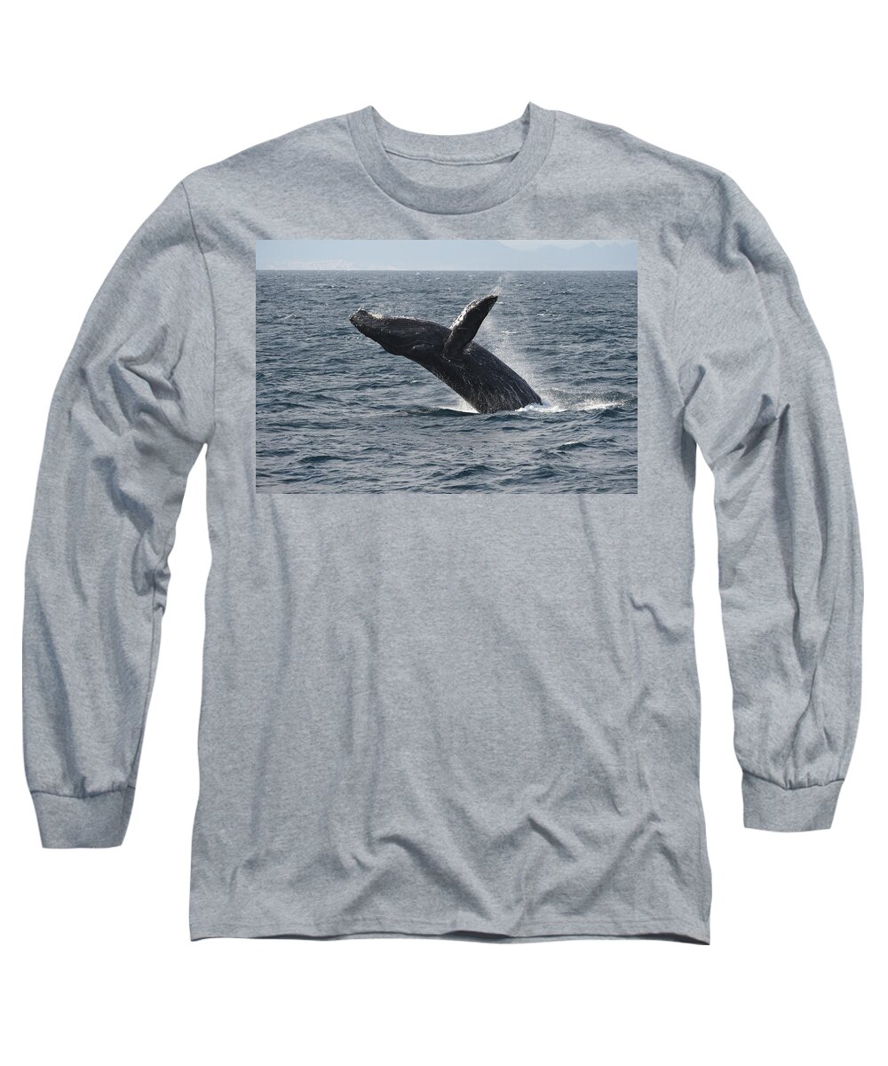 Feb0514 Long Sleeve T-Shirt featuring the photograph Humpback Whale Breaching Baja by Flip Nicklin