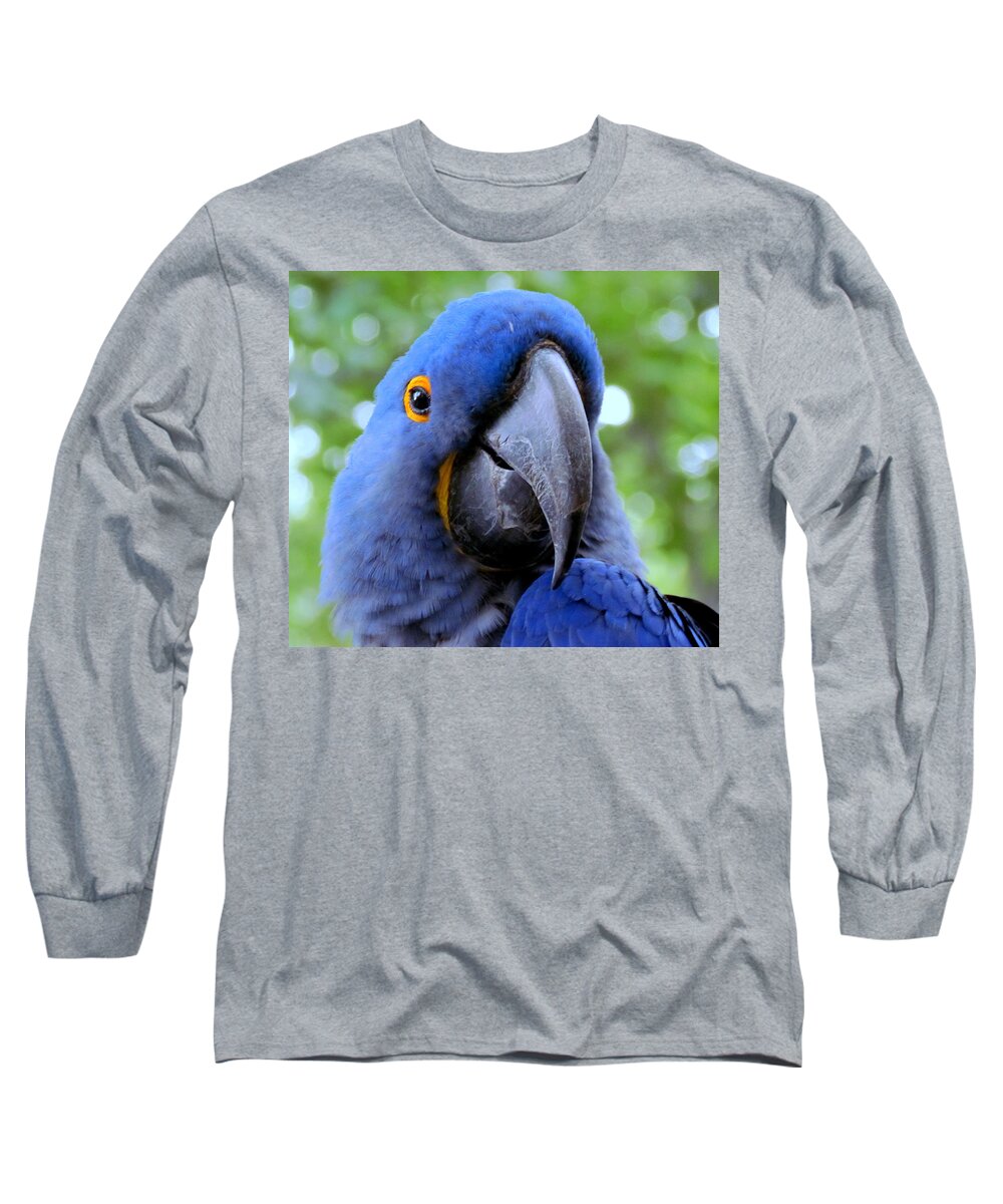 Bird Long Sleeve T-Shirt featuring the photograph HyaCynthia by Lori Lafargue