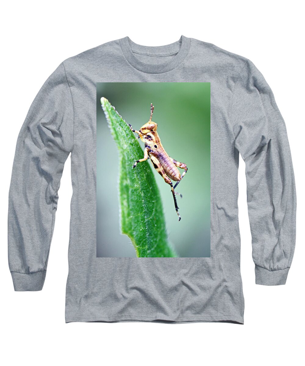 Insects Long Sleeve T-Shirt featuring the photograph Jimminy Cricket by Jennifer Robin