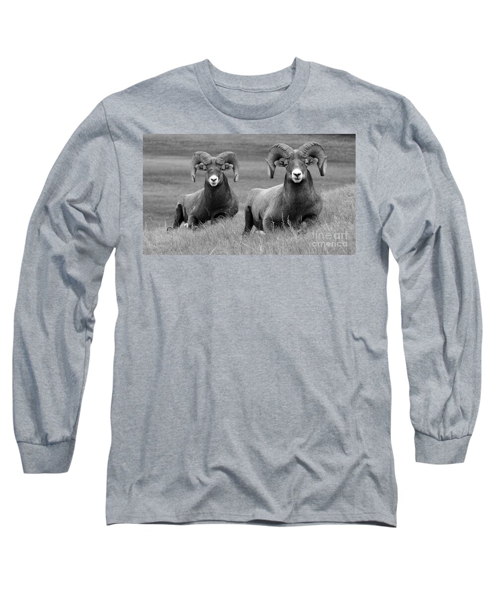 Wildlife Long Sleeve T-Shirt featuring the photograph Just Hanging Out by Vivian Christopher
