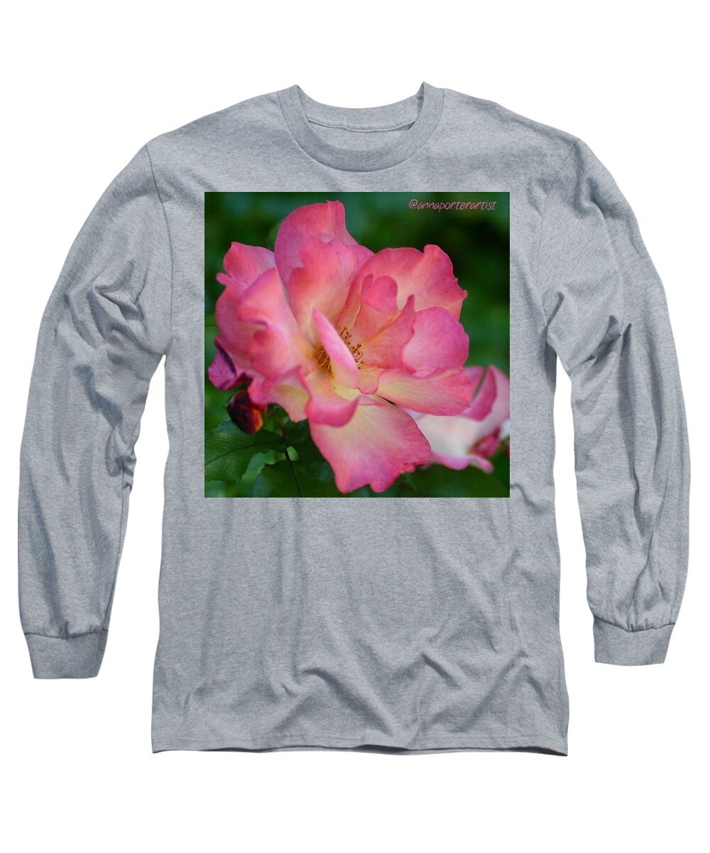 Instanaturelover Long Sleeve T-Shirt featuring the photograph Lady Diana Rose Side View. Taken With A by Anna Porter