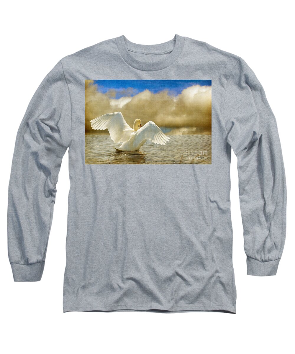 Swans Long Sleeve T-Shirt featuring the photograph Lady-In-Waiting by Lois Bryan