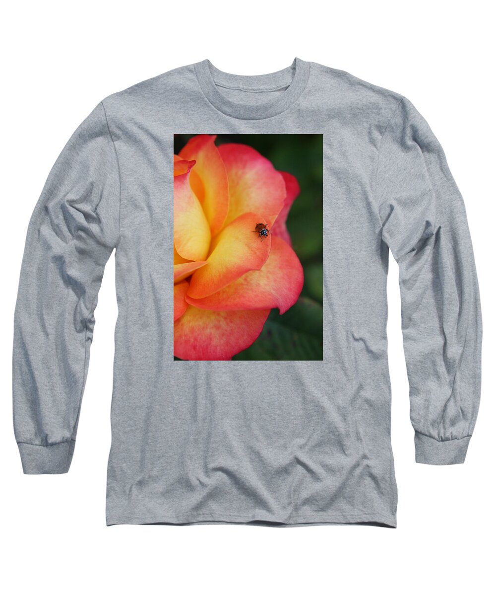 Patricia Sanders Long Sleeve T-Shirt featuring the photograph Ladybug On Rose by Her Arts Desire