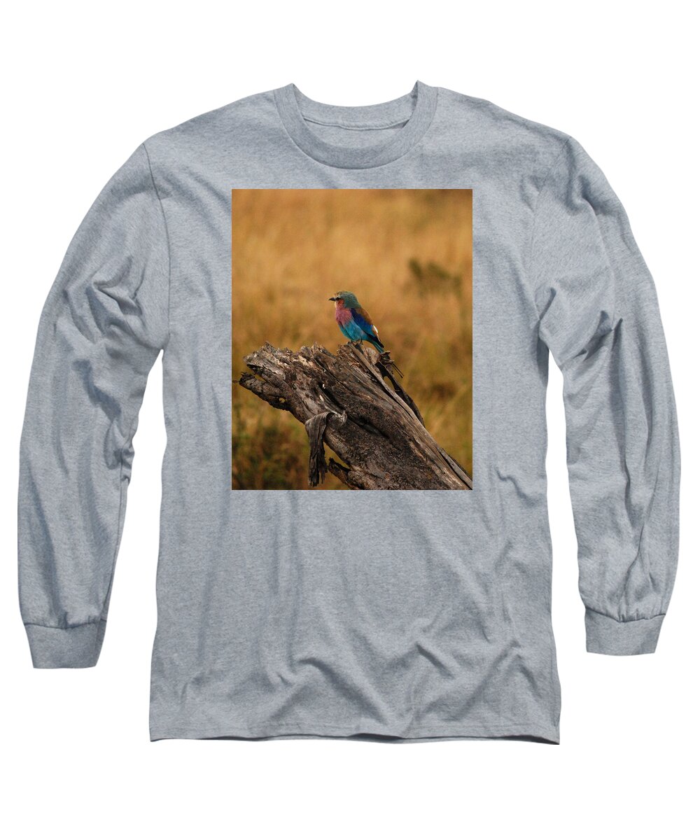 Bird Long Sleeve T-Shirt featuring the photograph Lilac-Breasted Roller by Pamela Peters