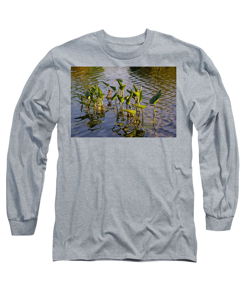  Autumn Long Sleeve T-Shirt featuring the photograph Lillies in Evening Glory by Lynda Lehmann