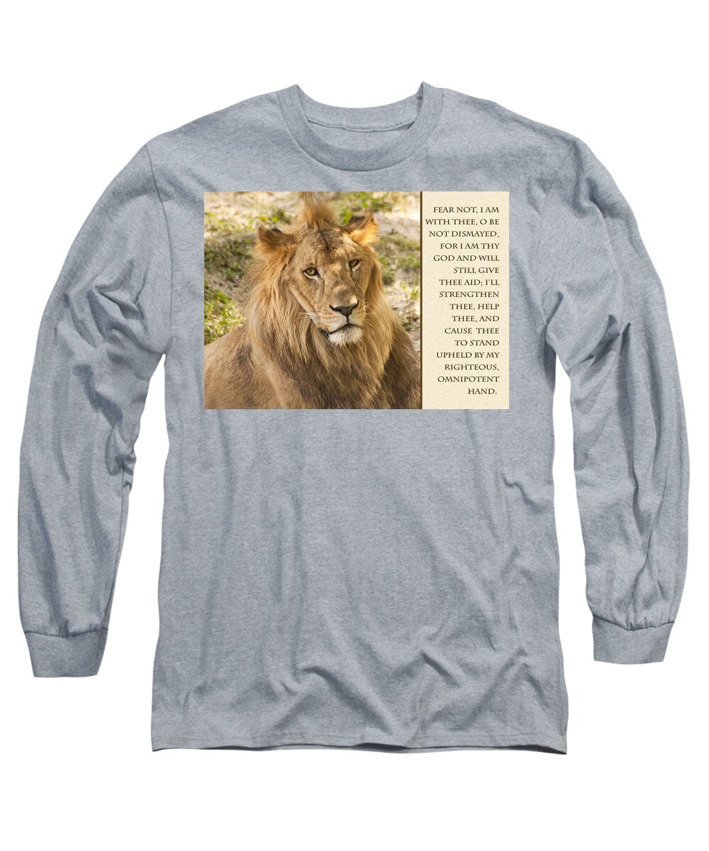 Lion Long Sleeve T-Shirt featuring the photograph Lion Encouragement by Carolyn Marshall