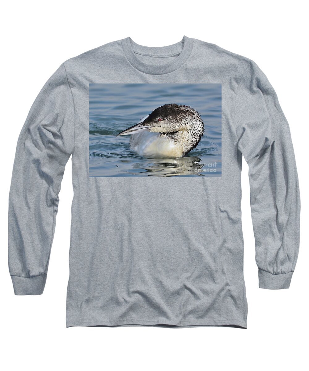 Bird Long Sleeve T-Shirt featuring the photograph Loon by Kathy Baccari