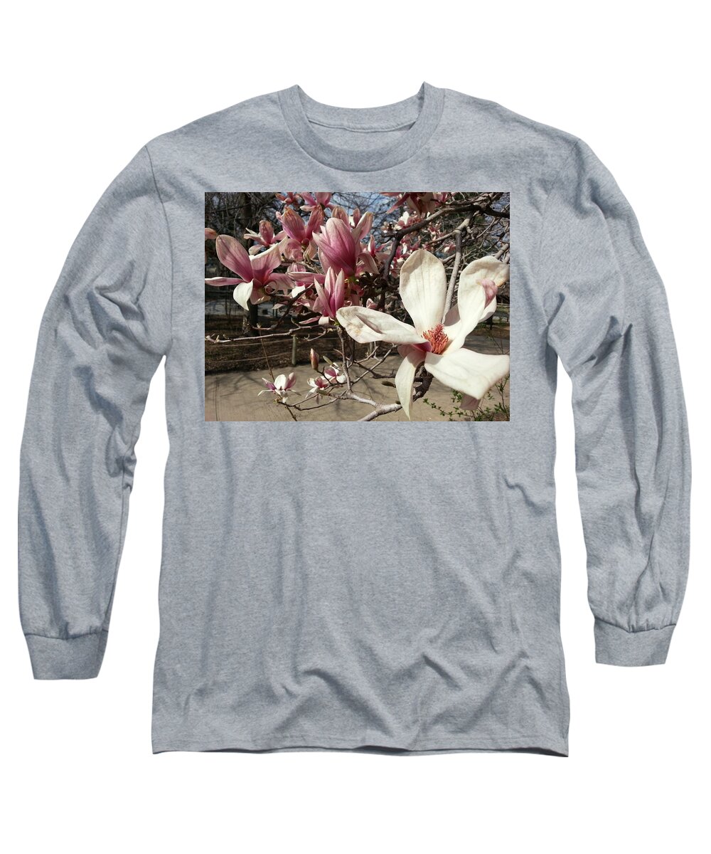 Pink Long Sleeve T-Shirt featuring the photograph Magnolia Branches by Caryl J Bohn