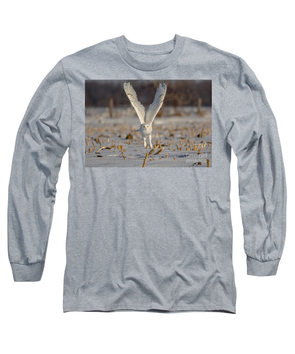 Field Long Sleeve T-Shirt featuring the photograph Majestic Snowy by Cheryl Baxter