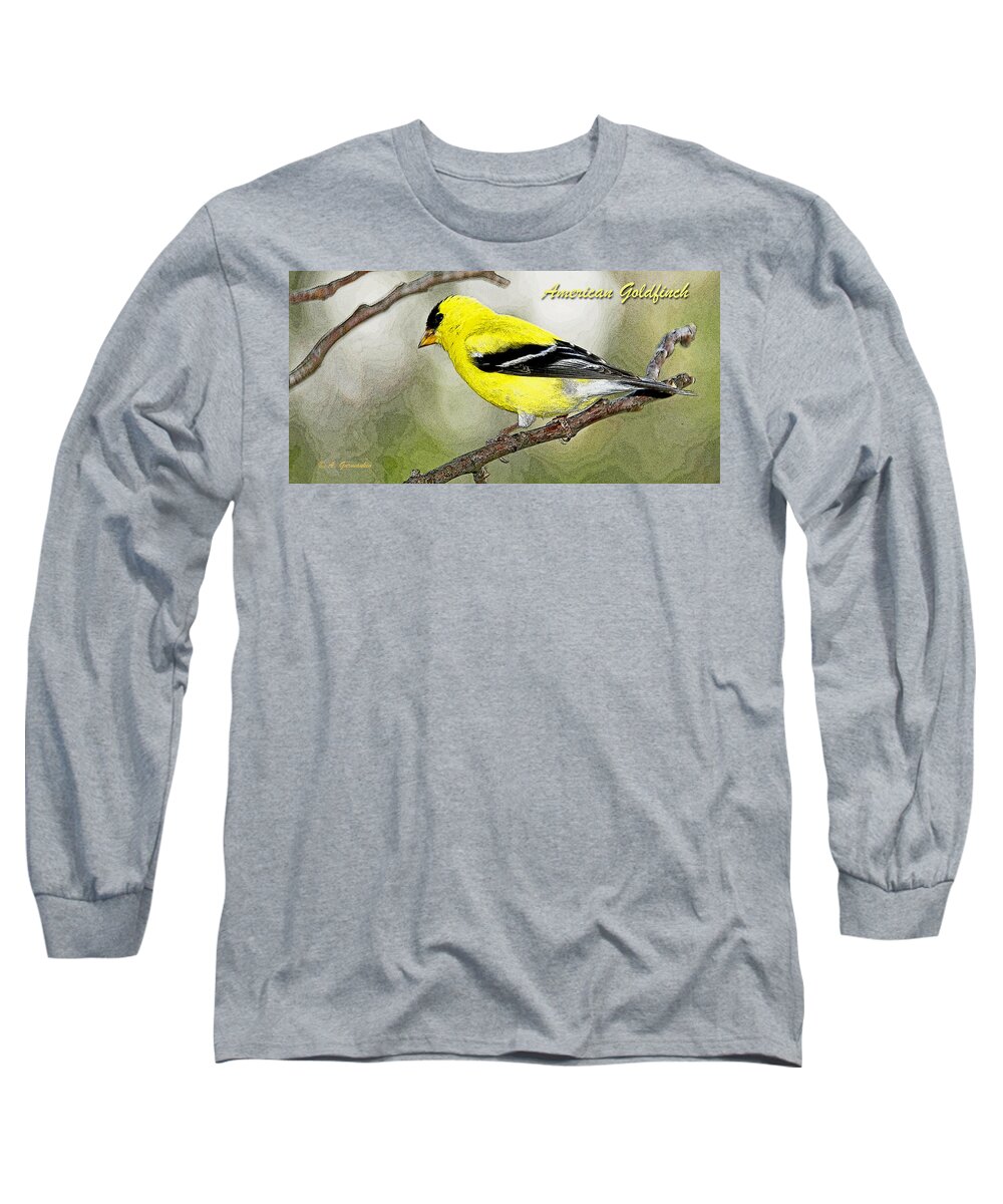 Male Long Sleeve T-Shirt featuring the photograph Male Goldfinch Digital Illustration by A Macarthur Gurmankin