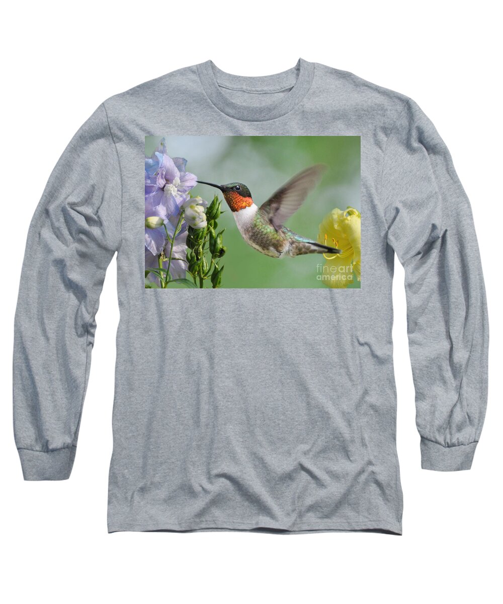 Hummingbird Long Sleeve T-Shirt featuring the photograph Male Hummingbird by Kathy Baccari
