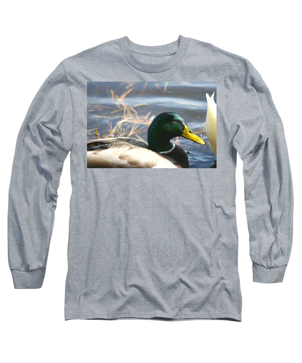 Duck Long Sleeve T-Shirt featuring the photograph Mallard Anas Platyrhynchos by Neal Eslinger