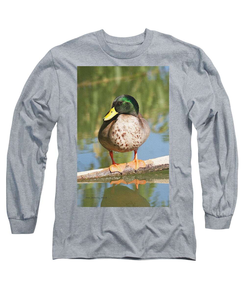 Mallard Duck On Log Long Sleeve T-Shirt featuring the photograph Mallard Duck On Log by Tom Janca
